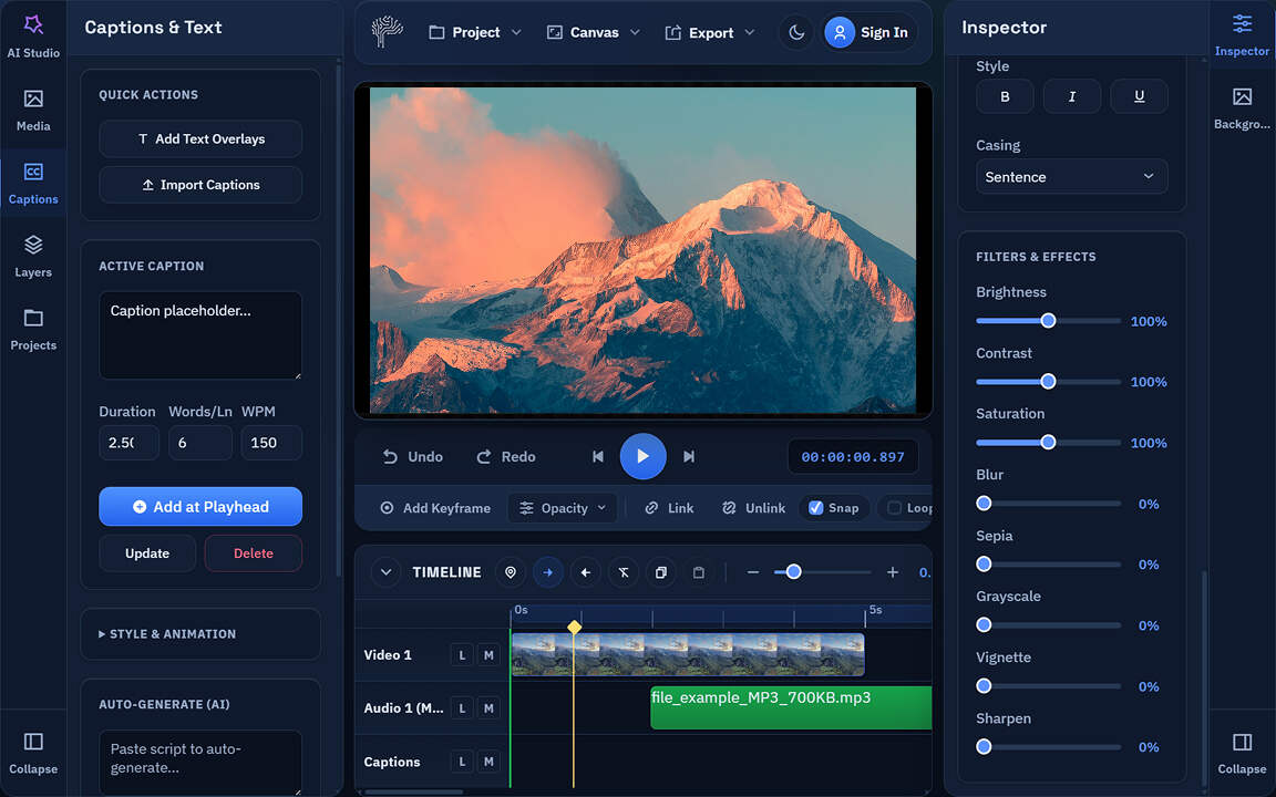 Professional Editing Suite Tools