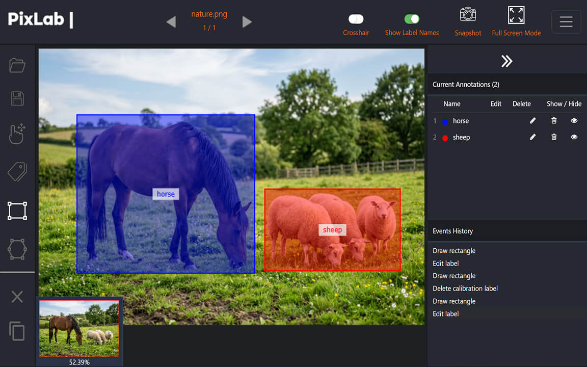 Labeled image showing bounding boxes and segmented regions in PixLab Annotate