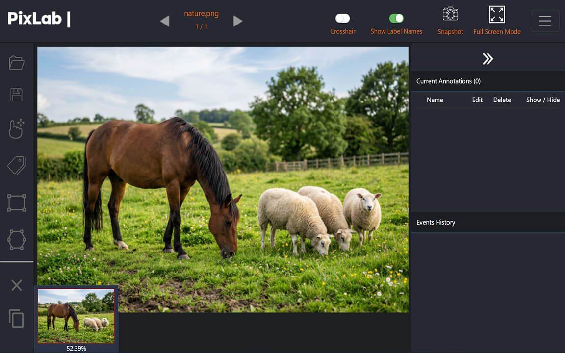 Unlabeled source image before annotation in PixLab Annotate