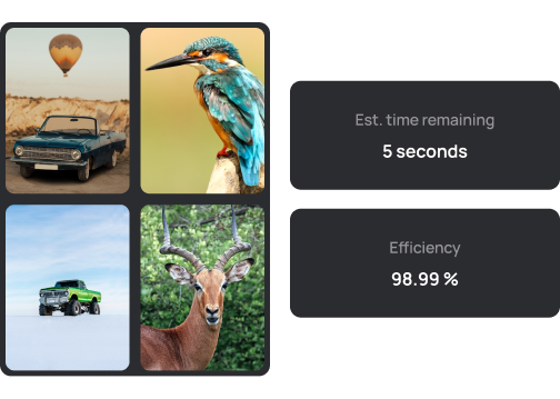 Fast And Efficient Processing